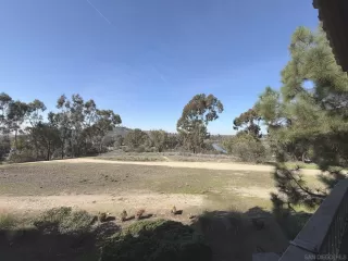 Photo #5: 2600694 Listing 