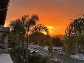 Photo #4: 2600796 Listing 