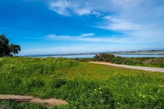 Photo #1: 400051526 Listing