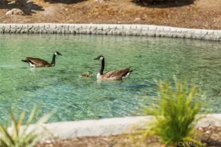 Photo #5: CV25005160 Listing