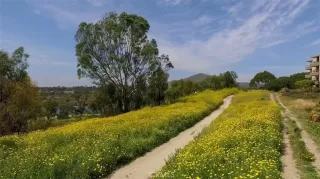 Photo #6: CV25005160 Listing