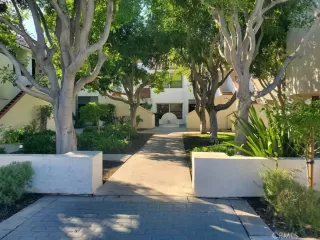 Photo #5: DW25269354 Listing 