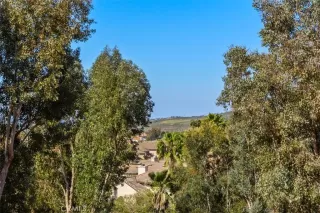 Photo #1: IG25167919 Listing