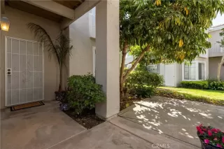 Photo #1: IG26100007 Listing 