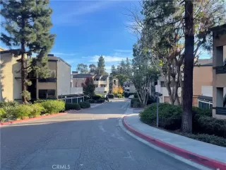 Photo #1: LG24010482 Listing