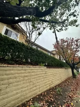 Photo #5: MC22255609 Listing