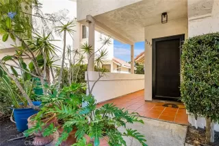 More Details about MLS # ND25271068 : 3139 AVENIDA OLMEDA