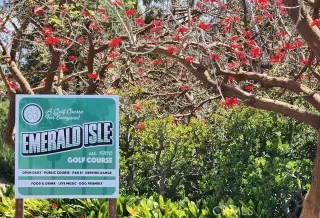 Photo #4: ND26018357 Listing