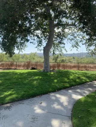 Photo #1: NDP2206846 Listing
