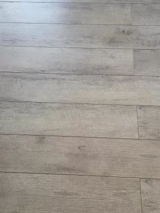 Photo #2: NDP2208067 Listing 