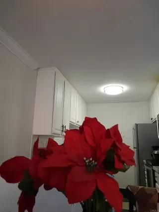 Photo #4: NDP2208067 Listing 