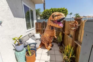 Photo #2: NDP2209733 Listing