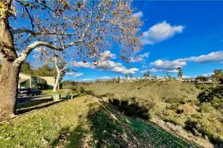 Photo #3: NDP2212018 Listing