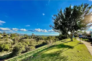 Photo #4: NDP2212018 Listing