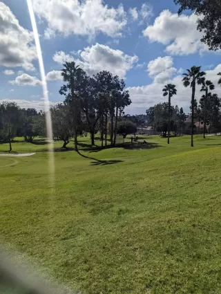 Photo #2: NDP2300734 Listing