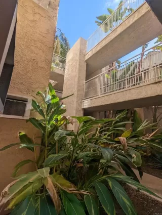 Photo #5: NDP2300734 Listing