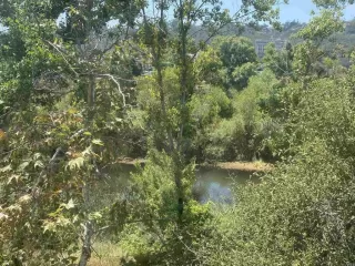 Photo #5: NDP2301108 Listing 