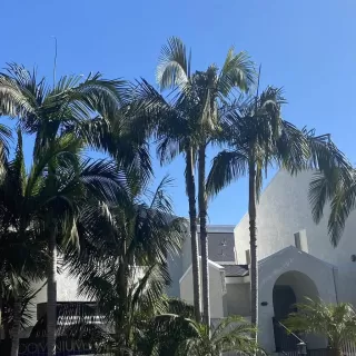 Photo #4: NDP2301216 Listing