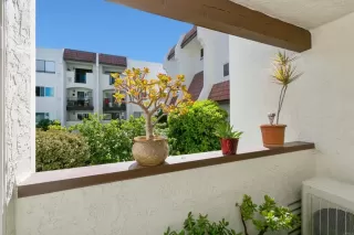 Photo #5: NDP2301498 Listing 