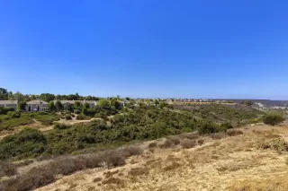 Photo #3: NDP2301641 Listing