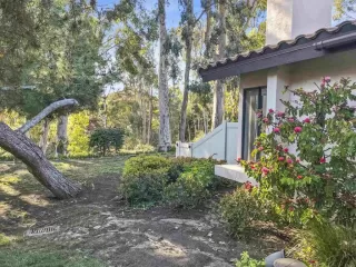 Photo #2: NDP2301692 Listing 