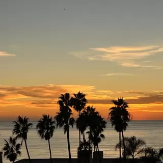 Photo #1: NDP2302693 Listing