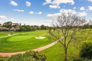 Photo #1: NDP2303276 Listing