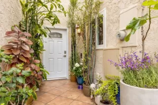 Photo #1: NDP2303288 Listing