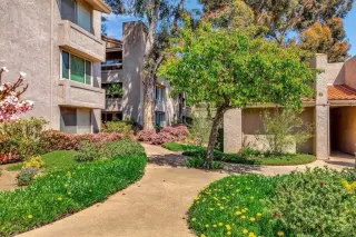 Photo #1: NDP2303516 Listing