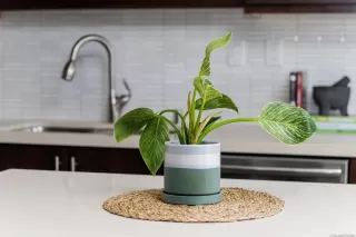 Photo #5: NDP2303522 Listing