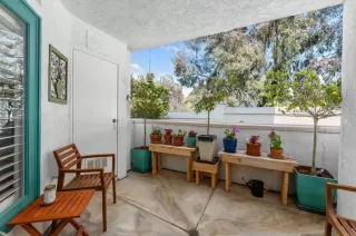 Photo #6: NDP2303700 Listing