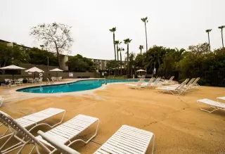 Photo #3: NDP2303967 Listing