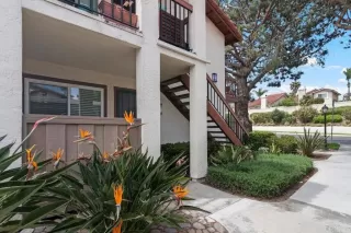 Photo #1: NDP2304446 Listing