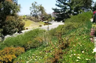 Photo #2: NDP2304617 Listing