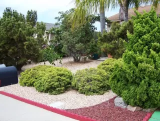 Photo #3: NDP2304617 Listing