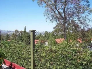 Photo #5: NDP2304617 Listing