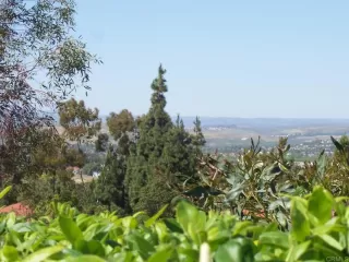 Photo #6: NDP2304617 Listing