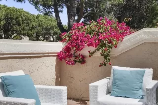 Photo #4: NDP2304769 Listing