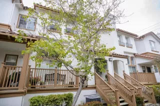 Photo #1: NDP2305172 Listing 