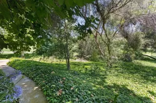 Photo #4: NDP2305922 Listing 