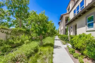 Photo #1: NDP2306537 Listing