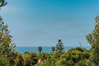 Photo #3: NDP2306643 Listing