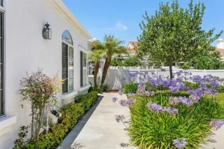 Photo #1: NDP2308244 Listing