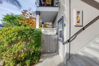 Photo #2: NDP2308926 Listing