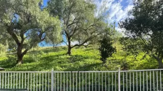 Photo #4: NDP2309064 Listing