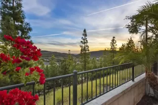 Photo #5: NDP2309131 Listing