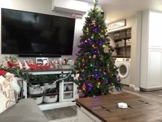 Photo #2: NDP2309568 Listing