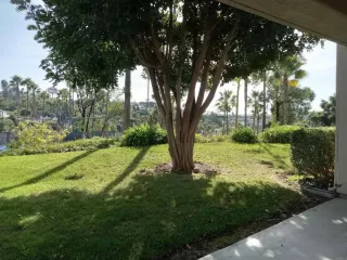 Photo #5: NDP2309628 Listing 