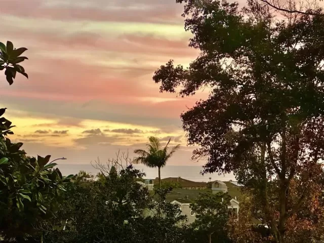 MLS: NDP2309640 Condo For Sale