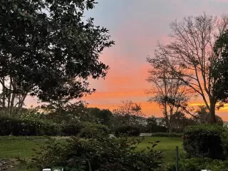 Photo #4: NDP2309640 Listing